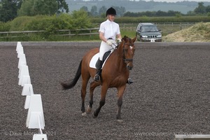 ISIS Dressage Challenge 2008